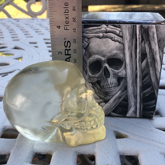 💀 2003 The Skull Collection #5451 - Quality Translucent Acrylic - Well Made💀 - Picture 5 of 7